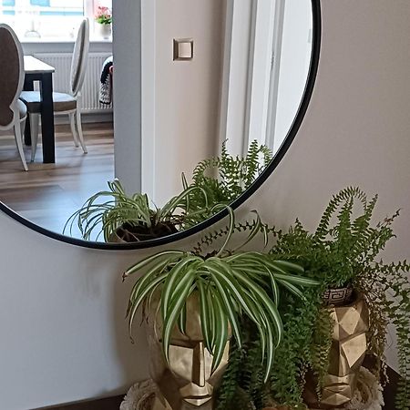 Apartamenty Holender House Choczewo Eksteriør bilde